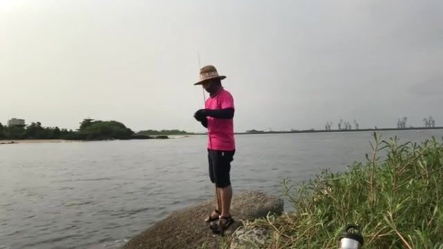 Стая каранксов зашла в устье у Пасео Маритимо в Бате, но клевали только небольшие