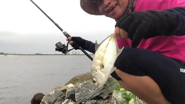 Стая каранксов зашла в устье у Пасео Маритимо в Бате, но клевали только небольшие