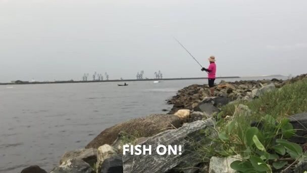 Стая каранксов зашла в устье у Пасео Маритимо в Бате, но клевали только небольшие