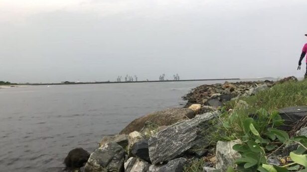 Стая каранксов зашла в устье у Пасео Маритимо в Бате, но клевали только небольшие