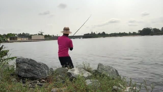 Стая каранксов зашла в устье у Пасео Маритимо в Бате, но клевали только небольшие