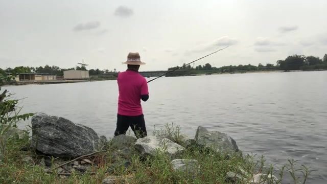 Стая каранксов зашла в устье у Пасео Маритимо в Бате, но клевали только небольшие