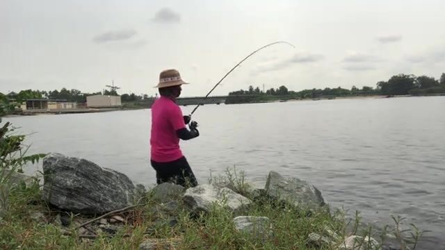 Стая каранксов зашла в устье у Пасео Маритимо в Бате, но клевали только небольшие