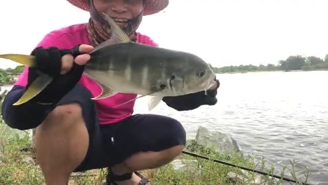 Стая каранксов зашла в устье у Пасео Маритимо в Бате, но клевали только небольшие