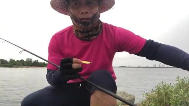 Стая каранксов зашла в устье у Пасео Маритимо в Бате, но клевали только небольшие