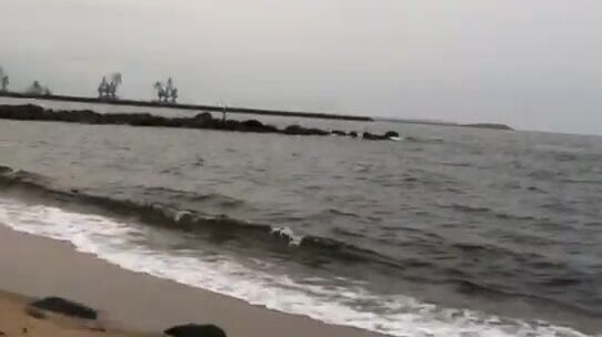 Стая каранксов зашла в устье у Пасео Маритимо в Бате, но клевали только небольшие