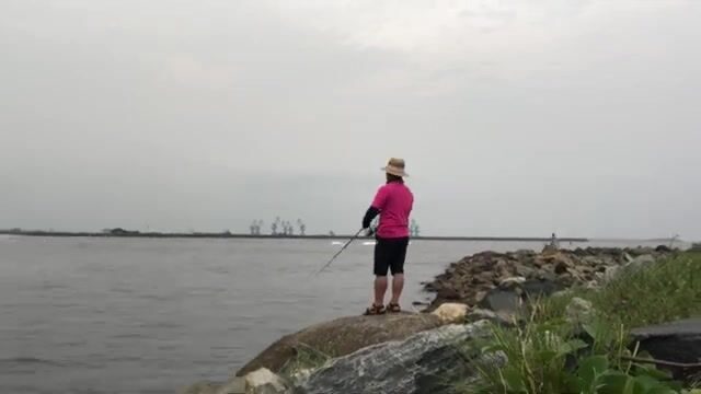 Стая каранксов зашла в устье у Пасео Маритимо в Бате, но клевали только небольшие