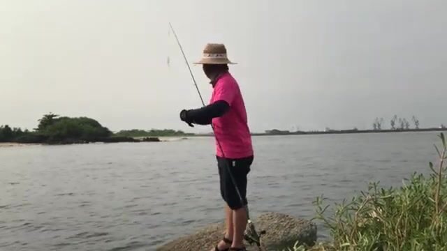 Стая каранксов зашла в устье у Пасео Маритимо в Бате, но клевали только небольшие