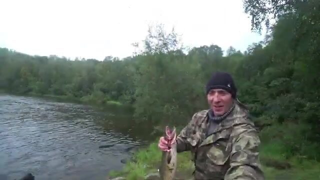 Августовская семга на Кольском после дождя и переделанной блесны