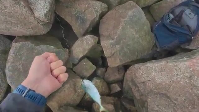 Подмостовье на Русском: камни, тросы и две лакедры