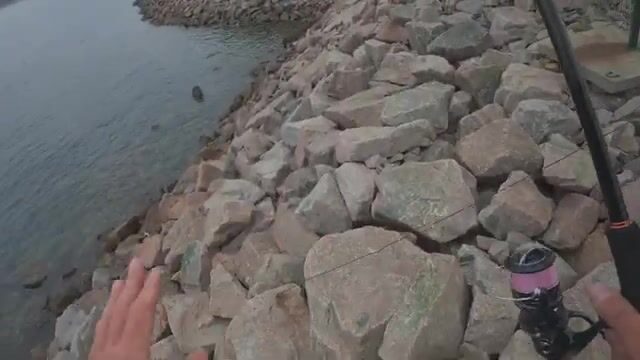 Подмостовье на Русском: камни, тросы и две лакедры