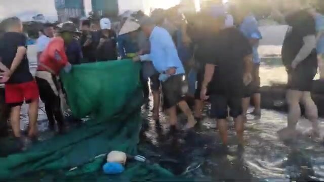 В Дананге мы поговорили с мужчиной, который граблями собирал моллюсков