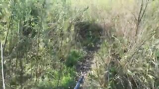 Первая щука: поклевка, сход и знакомство со спиннинговым выездом