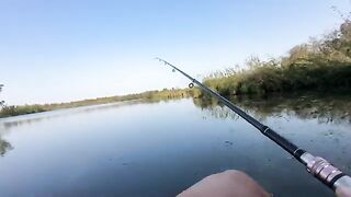 Первая щука: поклевка, сход и знакомство со спиннинговым выездом