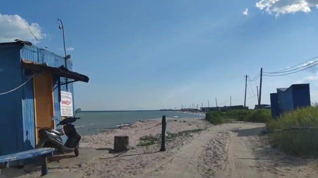 Водоросли сорвали охоту за пеленгасом у Приморска