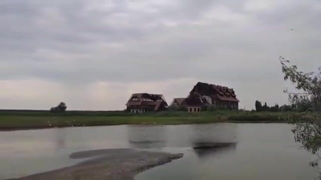 Водоросли сорвали охоту за пеленгасом у Приморска