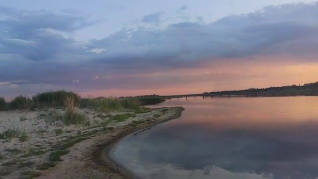 Водоросли сорвали охоту за пеленгасом у Приморска