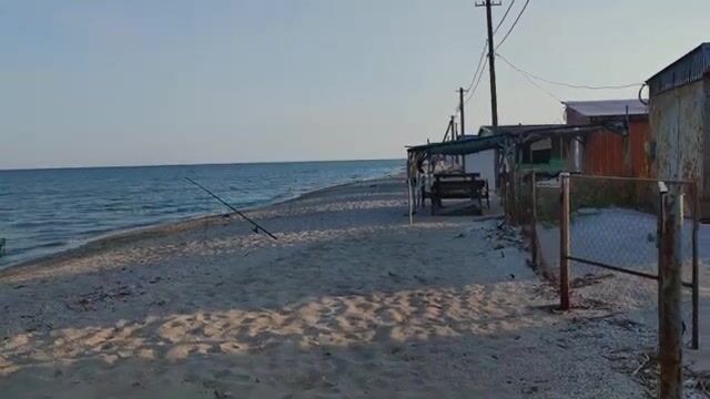 Водоросли сорвали охоту за пеленгасом у Приморска