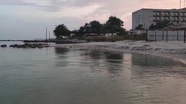 Водоросли сорвали охоту за пеленгасом у Приморска