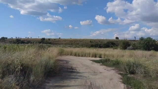 Водоросли сорвали охоту за пеленгасом у Приморска