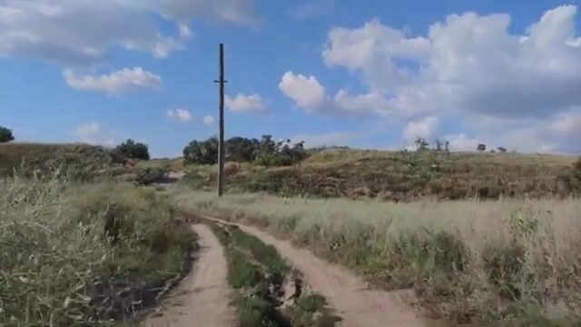 Водоросли сорвали охоту за пеленгасом у Приморска