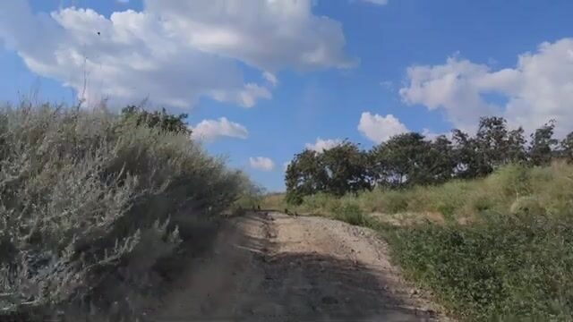 Водоросли сорвали охоту за пеленгасом у Приморска