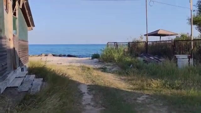 Водоросли сорвали охоту за пеленгасом у Приморска