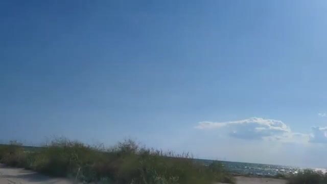 Водоросли сорвали охоту за пеленгасом у Приморска
