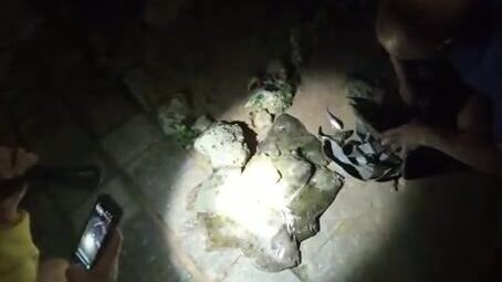 Ночью в Азовском море у Курортного наконец собрали калкана