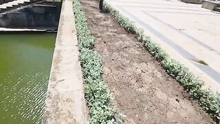 Бухарест, парк Карол: поиски магнитом и отдельный рыболовный день