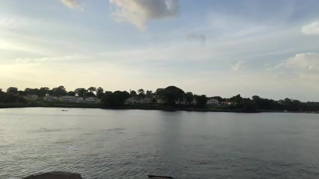 На песчаном участке у Баты каранкс и тунец отозвались на самоделку