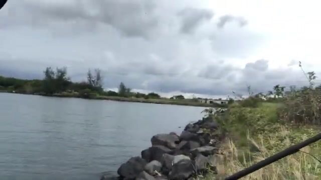 На песчаном участке у Баты каранкс и тунец отозвались на самоделку
