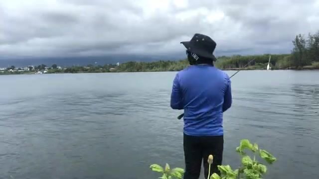 На песчаном участке у Баты каранкс и тунец отозвались на самоделку