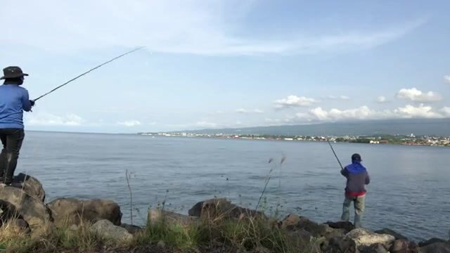 На песчаном участке у Баты каранкс и тунец отозвались на самоделку