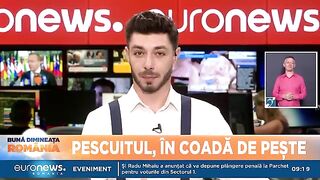 Черноморская Румыния: рыбацкое побережье и поездка в дельту