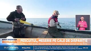 Черноморская Румыния: рыбацкое побережье и поездка в дельту