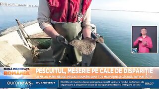 Черноморская Румыния: рыбацкое побережье и поездка в дельту
