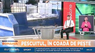 Черноморская Румыния: рыбацкое побережье и поездка в дельту