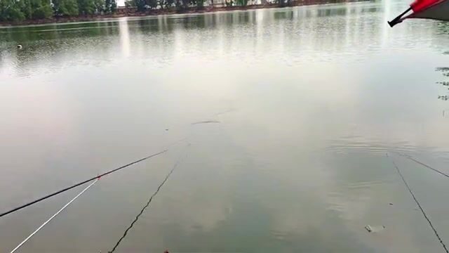 На озере Хотрам в Лонгане ловили мелкую рыбу, пока соседи поднимали крупную