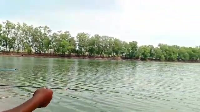 На озере Хотрам в Лонгане ловили мелкую рыбу, пока соседи поднимали крупную
