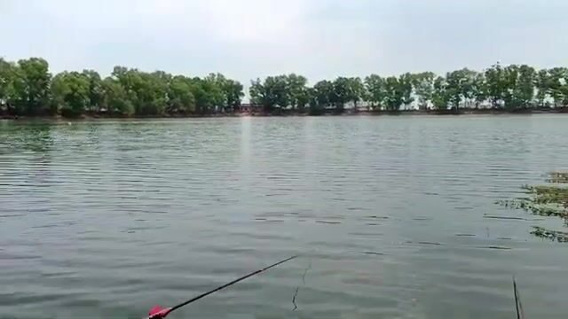 На озере Хотрам в Лонгане ловили мелкую рыбу, пока соседи поднимали крупную