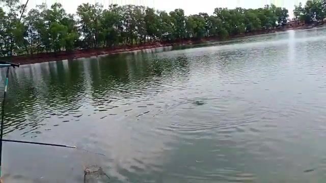 На озере Хотрам в Лонгане ловили мелкую рыбу, пока соседи поднимали крупную