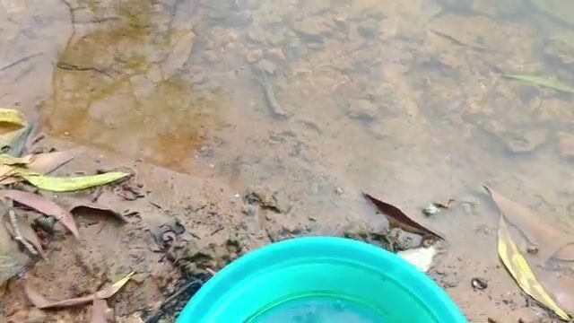 На озере Хотрам в Лонгане ловили мелкую рыбу, пока соседи поднимали крупную