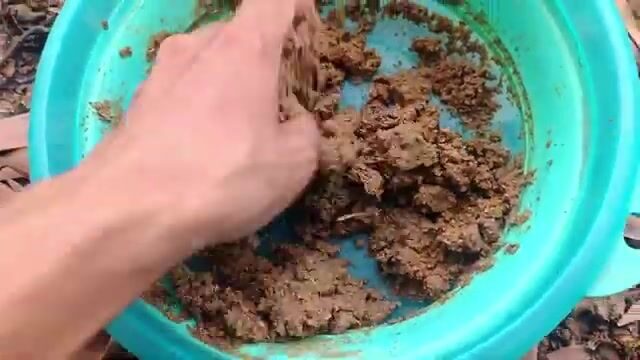 На озере Хотрам в Лонгане ловили мелкую рыбу, пока соседи поднимали крупную
