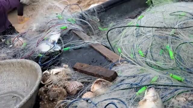 Встретили лодку с крабами и крупной рыбой на пляже Хотрам