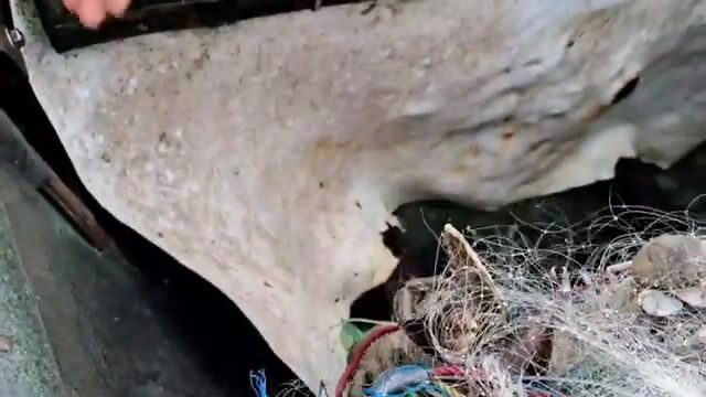 Встретили лодку с крабами и крупной рыбой на пляже Хотрам
