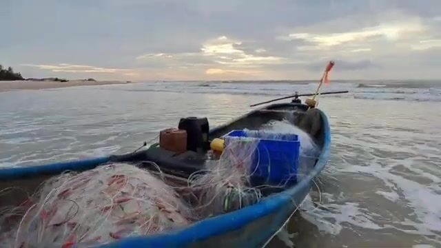 Встретили лодку с крабами и крупной рыбой на пляже Хотрам