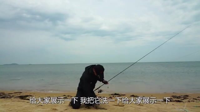 На скалистом берегу Вэйхая перешли на техасскую оснастку и достали черного окуня