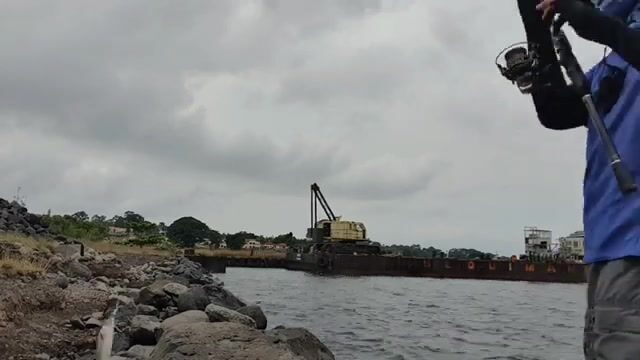 Береговая рыбалка в Экваториальной Гвинее на самоделку и желудки