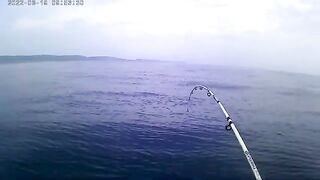 Остров Русский: морская акватория и ловля камбалы с экипажем